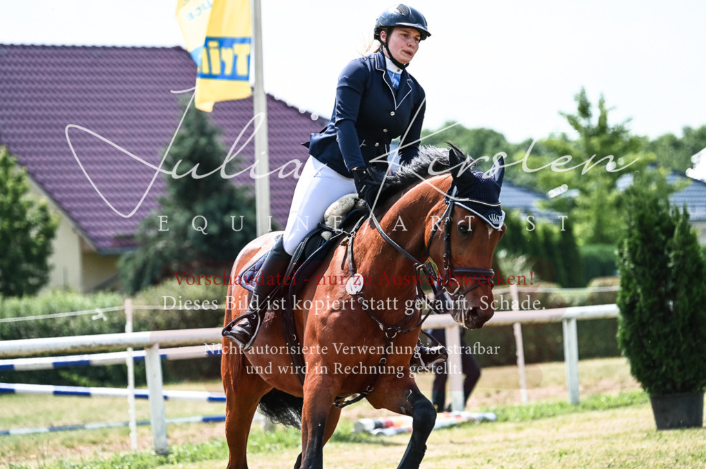 DSC_9346 | Pferde- und Turnierfotografie in Westsachsen. Pferdeportraits, Auftragszeichnungen und intuitive Kunst.