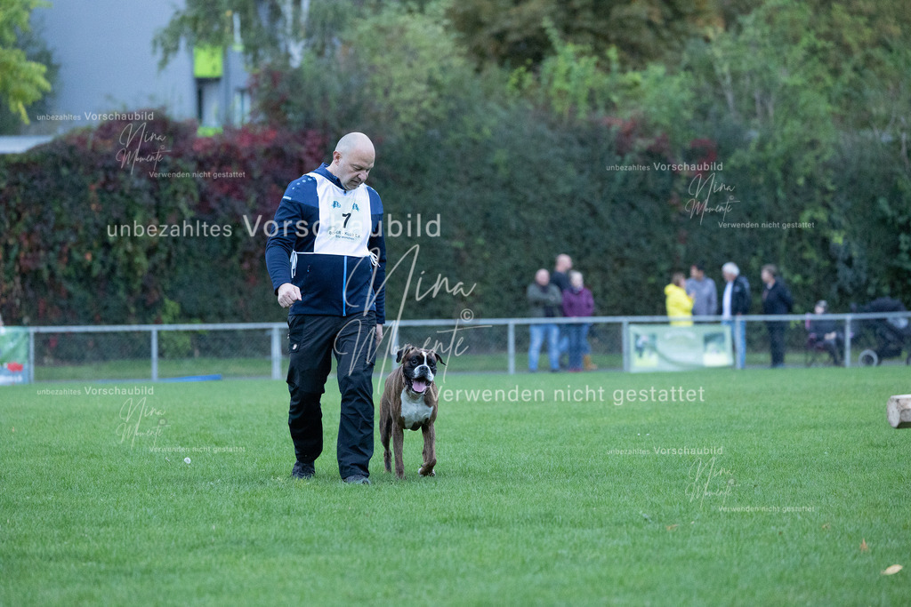 _16A4437 | Einzigartige Fotos von Hunden & Menschen –Actionfotos, Portraits, Vereinsaufnahmen & Paarshootings – authentisch, lebendig & mit Herz.