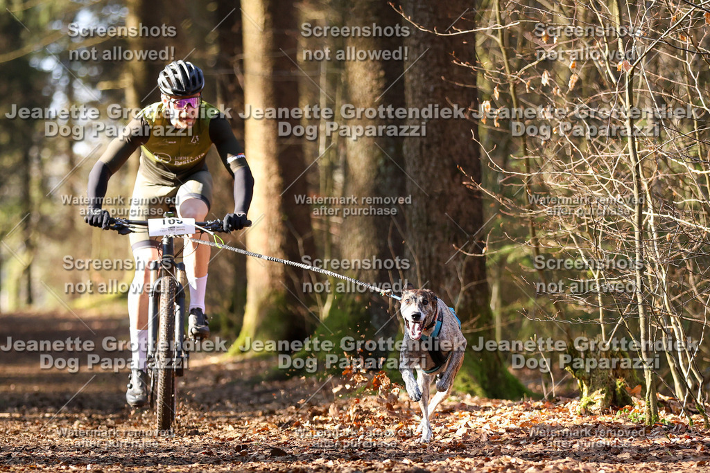 Dog Paparazzi - VCC26-925 | Dog Paparazzi Jeanette Grottendiek Fotografie & Videografie - Realisiert mit Pictrs.com