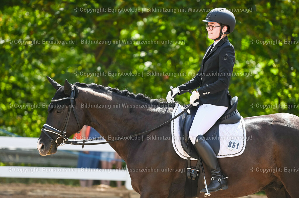 20230715_07_Dressurpferdeprfg. Kl.L_0188 | equistock