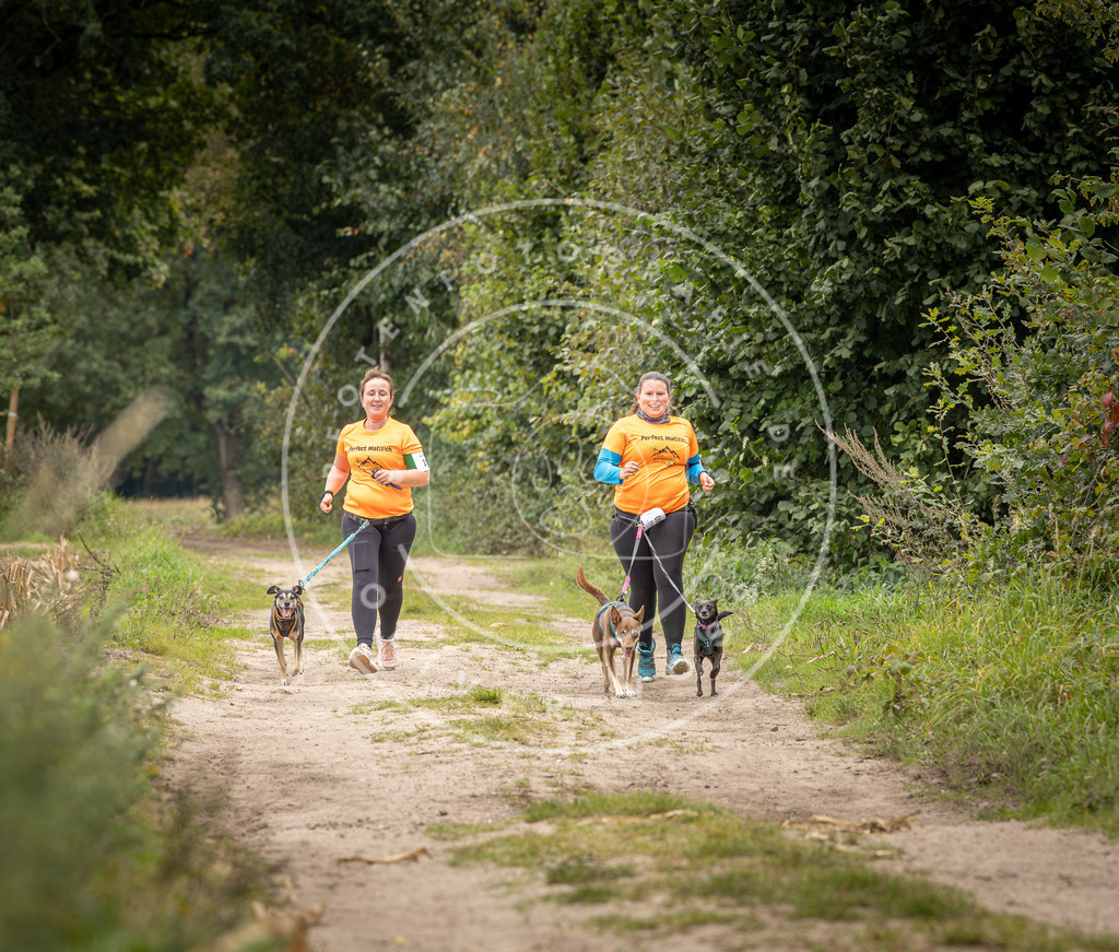 Pfotenfotografie_DV3A7907 | Hundefotografie, Tierfotograf, Pfotenfotografie, Fotoshooting Hund, Hunde Portrait, Hundesport, Hundeportraits, Heideshooting, Hunde, Sportfotograf, Hundefotograf, Turnierhundsport, THS,  - Realisiert mit Pictrs.com