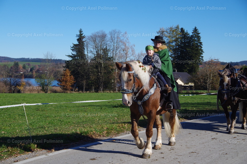 IMGP8353 | fotografiert von Axel PollmannLeonhardi Wallfahrt Benediktbeuern und Murnau, Fronleichnam, Fasching, Landschaft im Loisachtal und Benediktbeuern  - Realisiert mit Pictrs.com