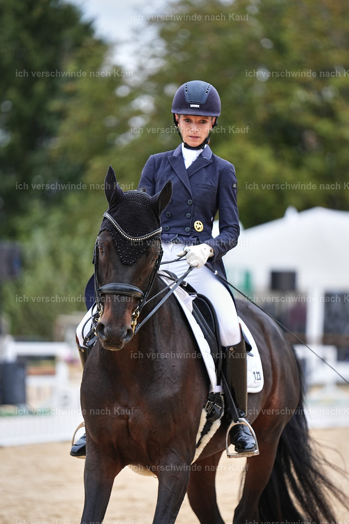 11-123-Dressur S___-Marixx-1535 | working equitationturnier fotograf videograf stoibphotography marixx film working equitation deutschland reitsport turnierfotografie eventfotografie equestrian events
