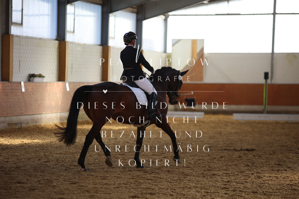 IMGT7288 | pl-fotografie