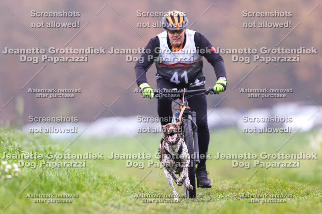 Dog Paparazzi - Visbeck 25 -144 | Dog Paparazzi Jeanette Grottendiek Fotografie & Videografie - Realisiert mit Pictrs.com