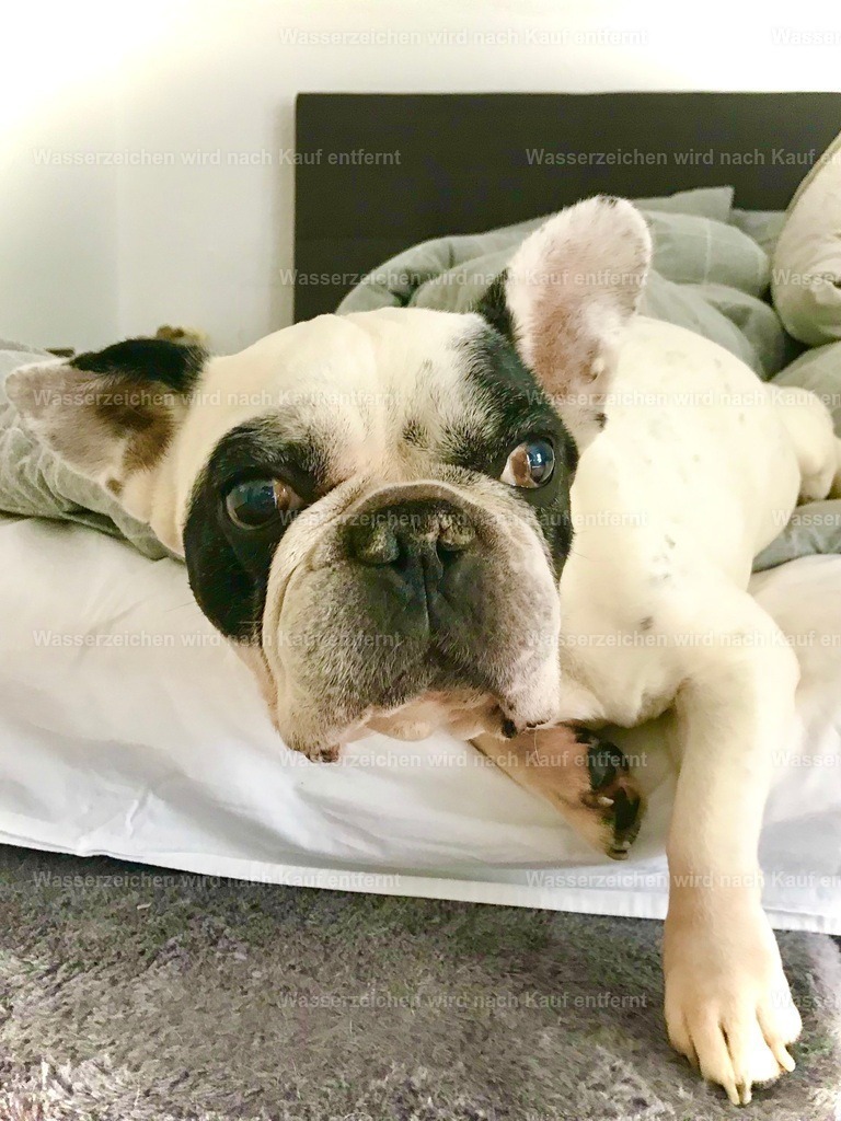 IMG_1253 | heikomoeller - Realisiert mit Pictrs.com