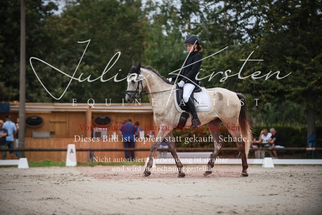 DSC_8211 | Pferde- und Turnierfotografie in Westsachsen. Pferdeportraits, Auftragszeichnungen und intuitive Kunst.