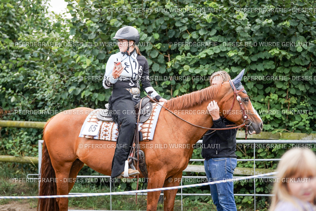 DSC05419 | Pferdegrafie