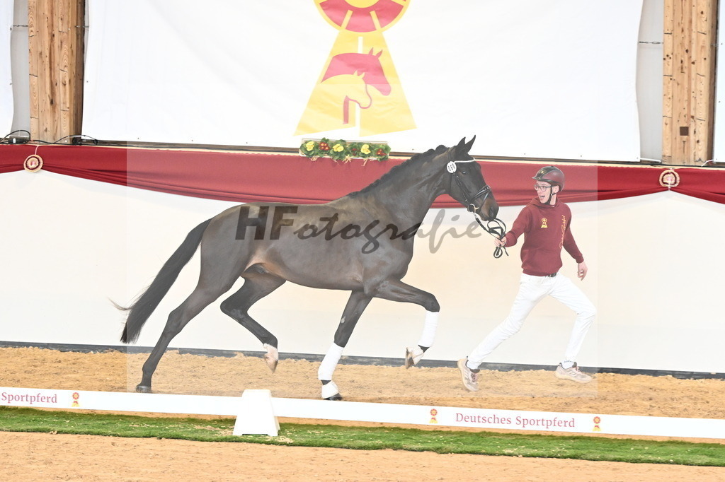 Kat.-Nr. 60 v. Raven_Klakow_2240744 | hf-fotografie - Realisiert mit Pictrs.com