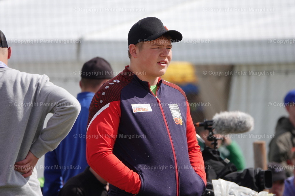 DSC00704 | Schwingen - Realisiert mit Pictrs.com