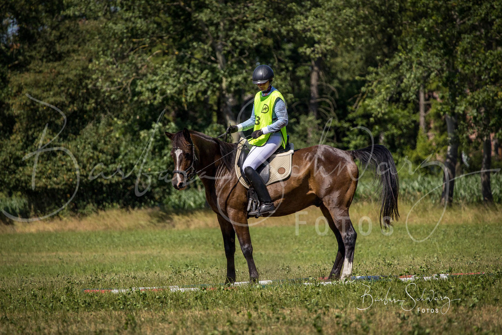 CJP_2026-06-26_140 | Stimmungsvolle Fotografie von Pferden, fotografische Begleitung von Veranstaltungen, Golfturnieren und Distanzritten - Realisiert mit Pictrs.com