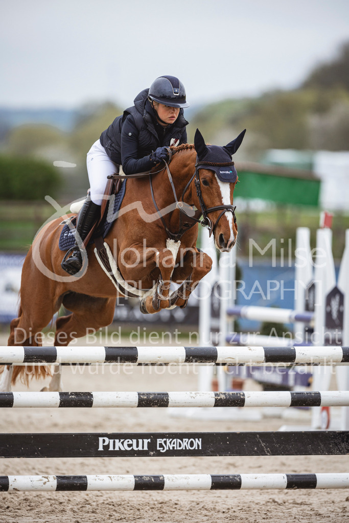 250417_Springpferde-L1-238 | Deine schönsten Turniermomente als professionelle Fotos! Entdecke hochwertige Pferdesport-Fotografie im Online-Shop. Jetzt Fotos finden & bestellen!