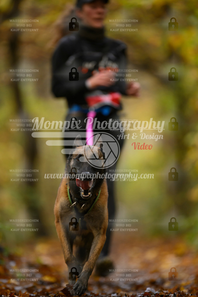 MompixPhotography_CD7S_DI_CCL-158 | mompixphotography