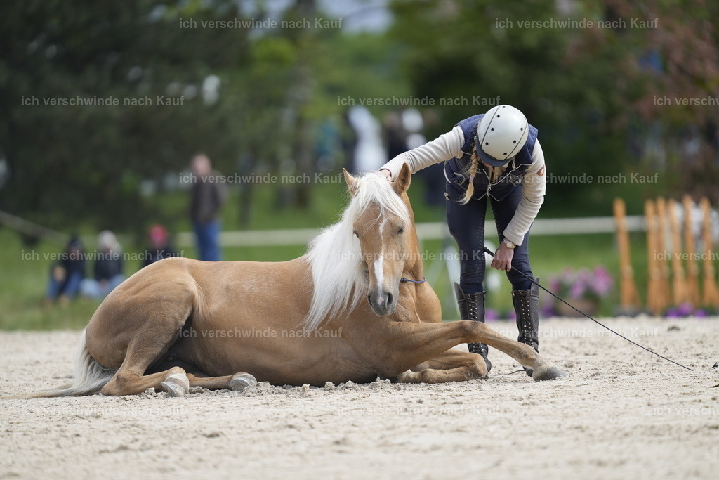 PI26_Show_Stoibphotography_A749294.JPG | working equitationturnier fotograf videograf stoibphotography marixx film working equitation deutschland reitsport turnierfotografie eventfotografie equestrian events