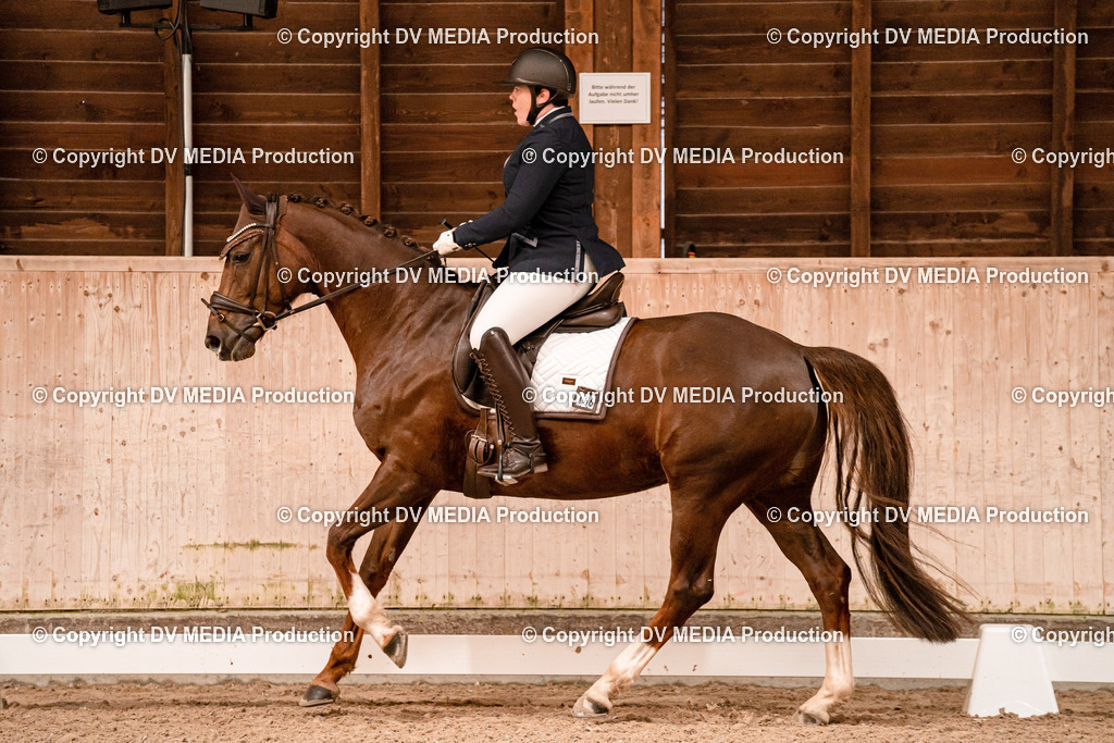 Dressur Tag 2-29 | dv-media-shop - Realisiert mit Pictrs.com
