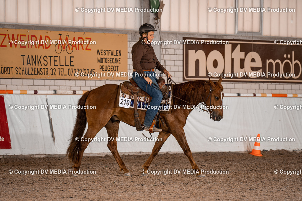 ZH100058 | dv-media-shop - Realisiert mit Pictrs.com