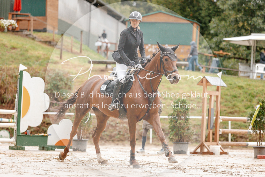 3I6A5713 | Stimmungsvolle Portraits und Reitsportfotografie im Ruhrgebiet und im Münsterland.

Pferdefotografie, Hundefotografie, Tierfotografie, Reportagen, Portraits von Tier und Mensch, Turnierfotografie in Bochum, Recklinghausen, Marl, Haltern am See, Dülmen.. - Realisiert mit Pictrs.com