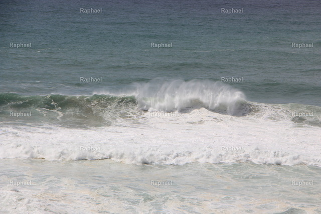 IMG_5754 | Raphael - Realisiert mit Pictrs.com