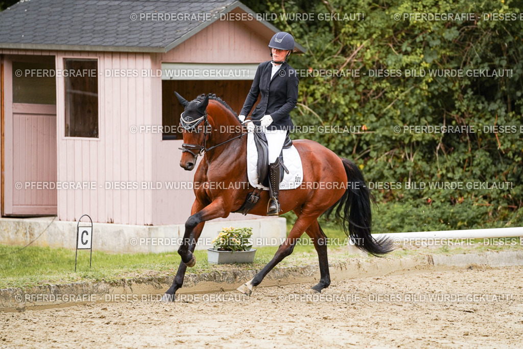 DSC09300 | Pferdegrafie