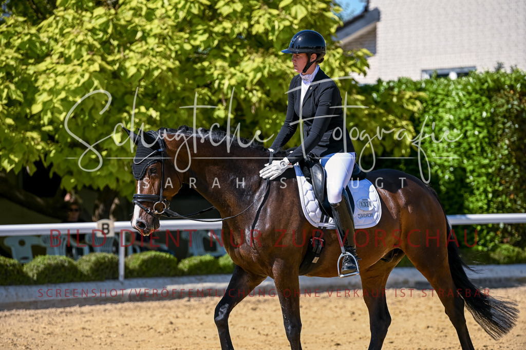 Schugtsche-Aluta25-50.Dressurpferdeprf.L-79 | Schugtsche Fotografie - Realisiert mit Pictrs.com