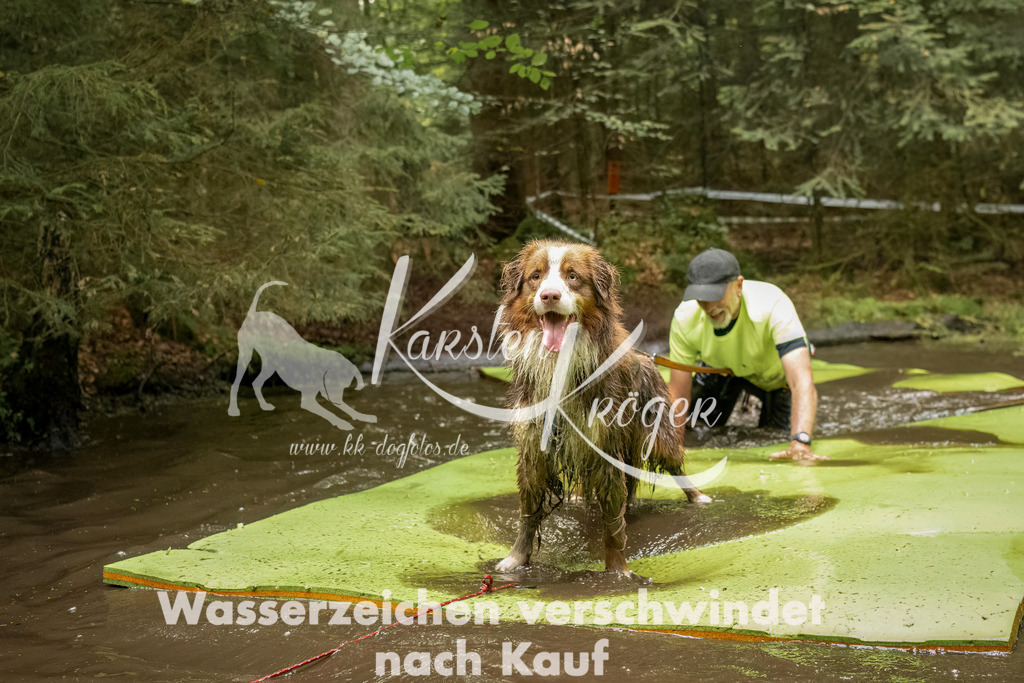 1231_ZZ90071-Bearbeitet | kk-dogfotos