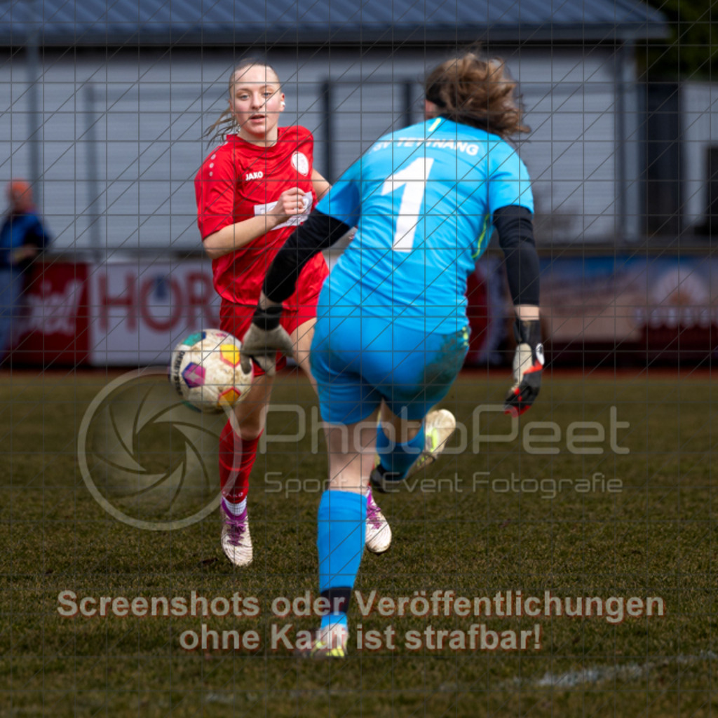 20250223_131331_0077-2 | #,1.FC Donzdorf (rot) vs. TSV Tettnang (schwarz), Fussball, Frauen-WFV-Pokal Achtelfinale, Saison 2024/2025, Rasenplatz Lautertal Stadion, Süßener Straße 16, 73072 Donzdorf, 23.02.2025 - 13:00 Uhr,Foto: PhotoPeet-Sportfotografie/Peter Harich