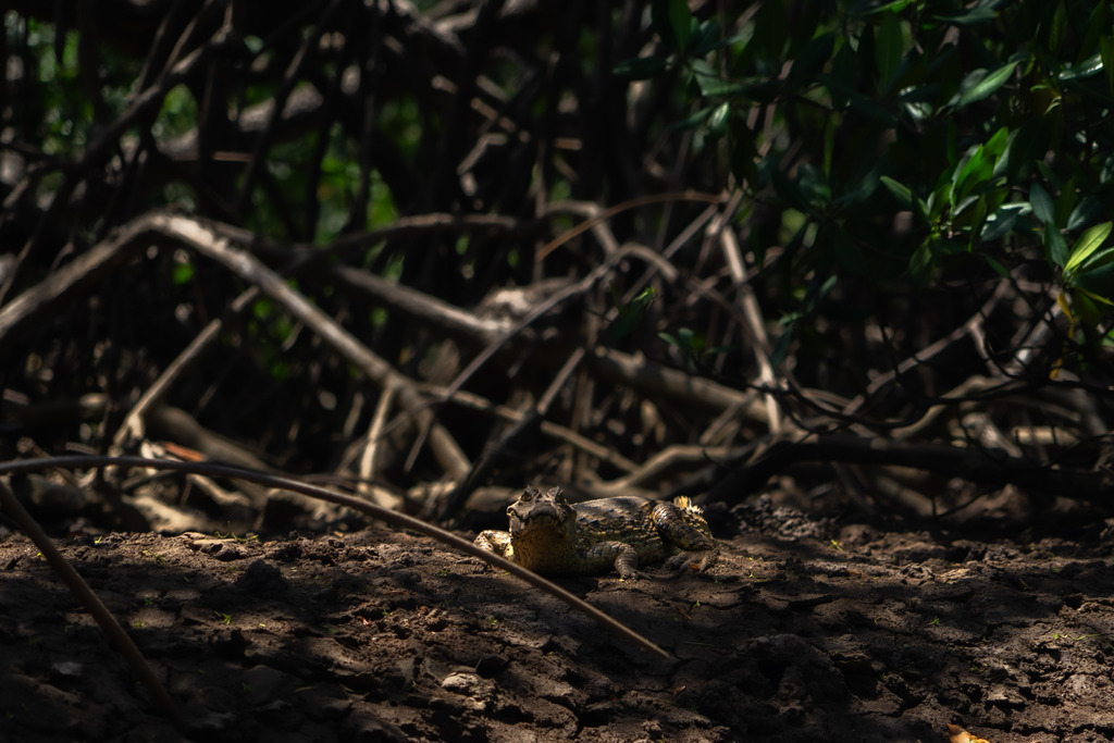 20251114-DeltaTour-0009 | paulependelt - Realisiert mit Pictrs.com