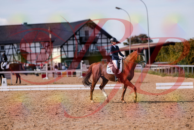 2026_10_03_Siefer-Hof_133156_Z81_87470888 | Professionelle Reitsport-, Turnier- und Eventfotografie von Robert Broda. Galerien mit ausgewählten und bearbeiteten Bildern direkt online ansehen und bestellen.