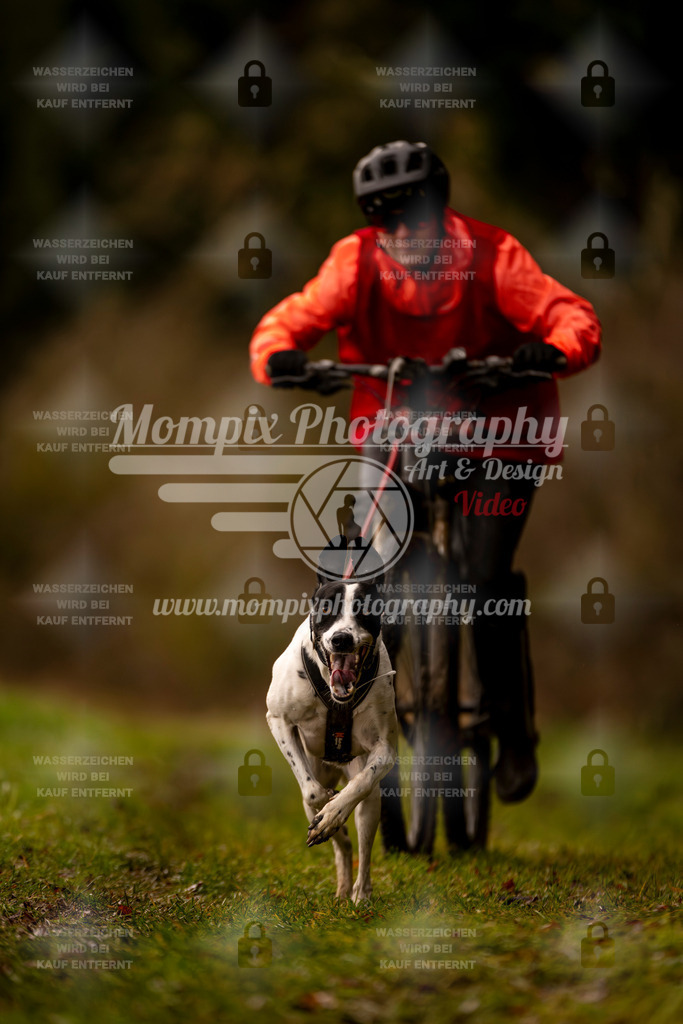 MompixPhotography_2SSTSSBW_2025_SO_Bike-69 | PayLife