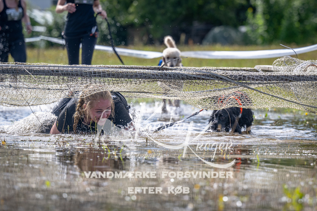 1217_ZZ93466 | kk-dogfotos