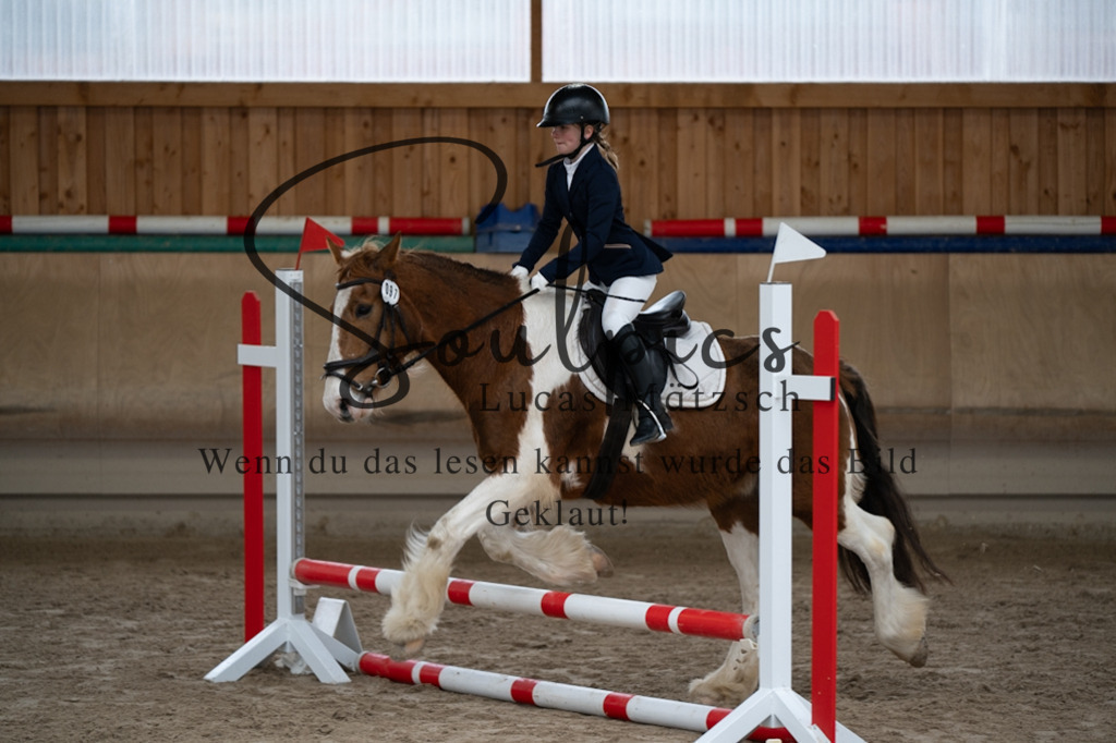 A7V00040 | Pferdefotograf