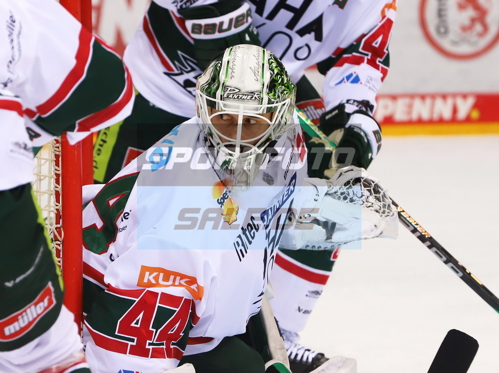 Dennis Endras - AEV | Dennis Endras - AEV - Realisiert mit Pictrs.com