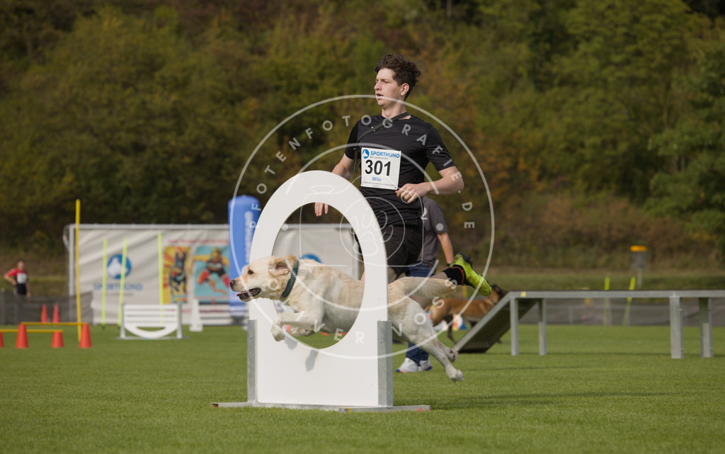 0L8A3588 | Hundefotografie, Tierfotograf, Pfotenfotografie, Fotoshooting Hund, Hunde Portrait, Hundesport, Hundeportraits, Heideshooting, Hunde, Sportfotograf, Hundefotograf, Turnierhundsport, THS,  - Realisiert mit Pictrs.com