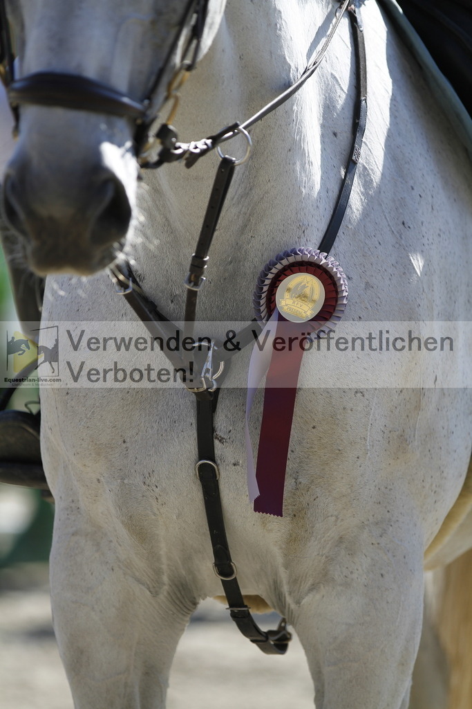 _MG_3987 | equestrian-live-com