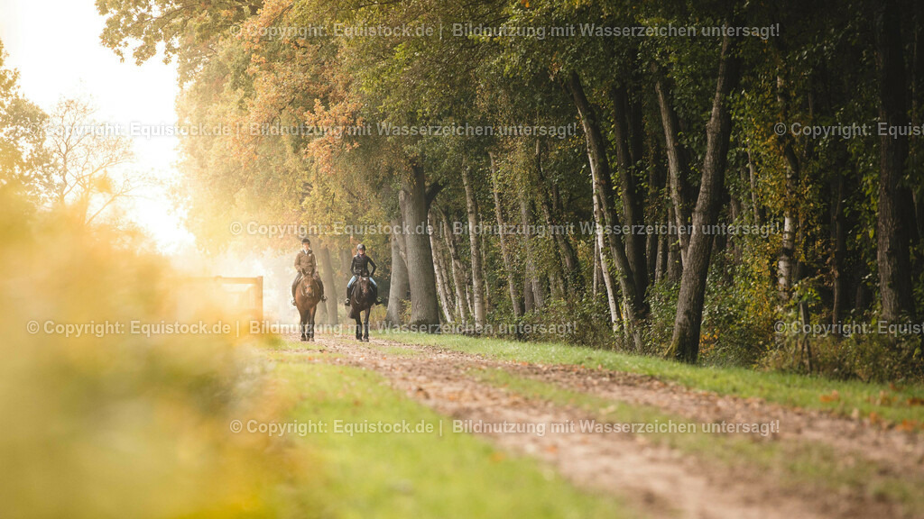 20161025_Ausreiten_0001 1 | Foto: Thomas Hartig