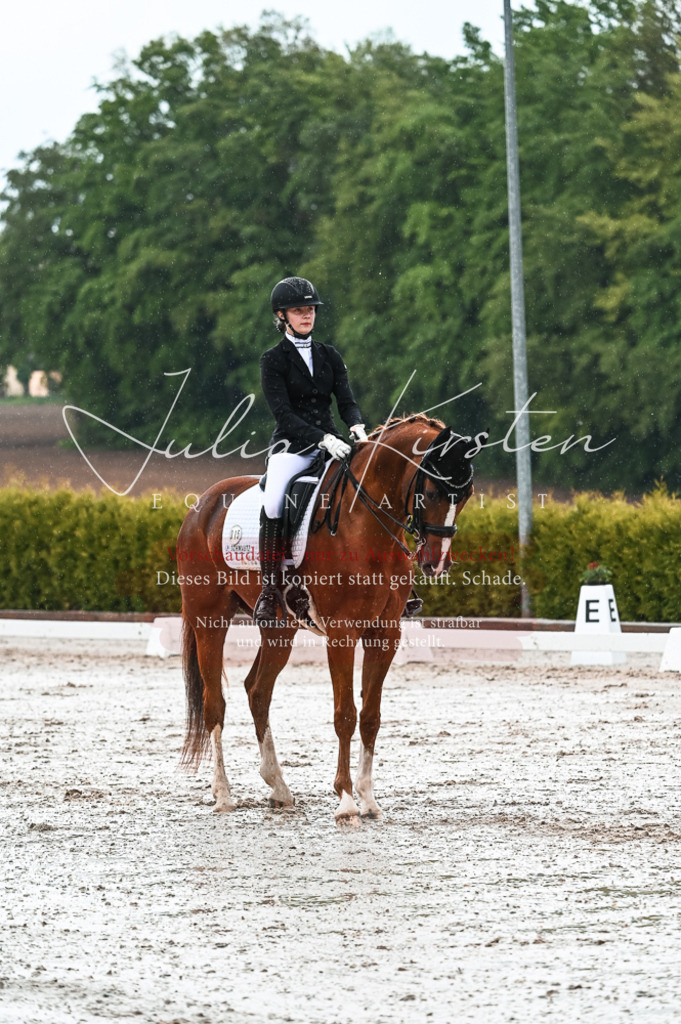 DSC_4316 | Pferde- und Turnierfotografie in Westsachsen. Pferdeportraits, Auftragszeichnungen und intuitive Kunst.