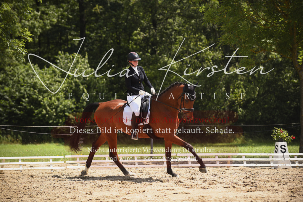 DSC_1344 | Pferde- und Turnierfotografie in Westsachsen. Pferdeportraits, Auftragszeichnungen und intuitive Kunst.