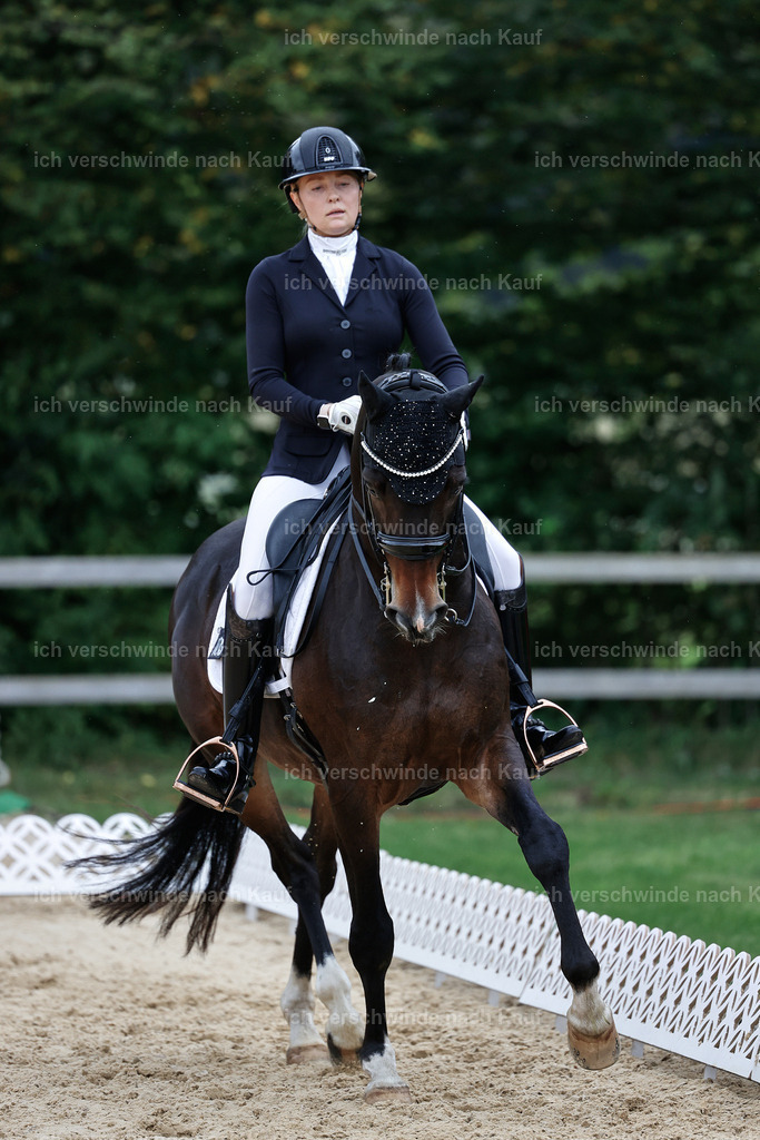 3-104-Dressur M_-StoibPH-2461 | working equitationturnier fotograf videograf stoibphotography marixx film working equitation deutschland reitsport turnierfotografie eventfotografie equestrian events