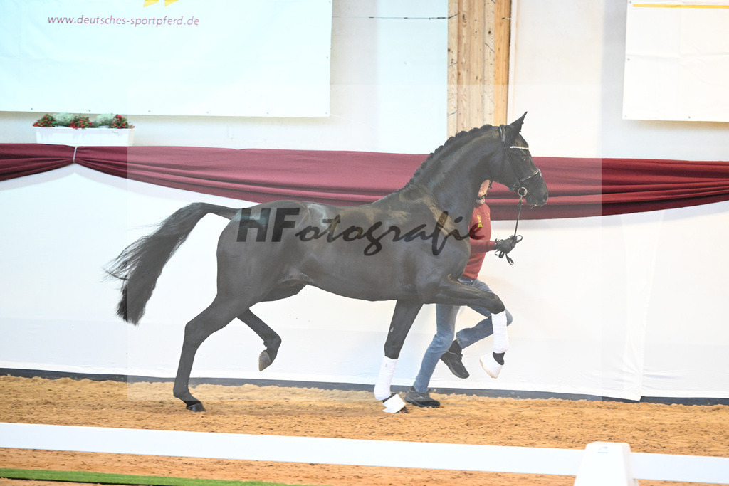 Kat-Nr. 8 v. Bon Courage_Maier_66220136 | hf-fotografie - Realizzato con Pictrs.com