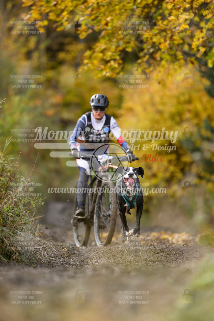 MompixPhotography_ICF_WC_2024_SA_Bike_-223 | PayLife