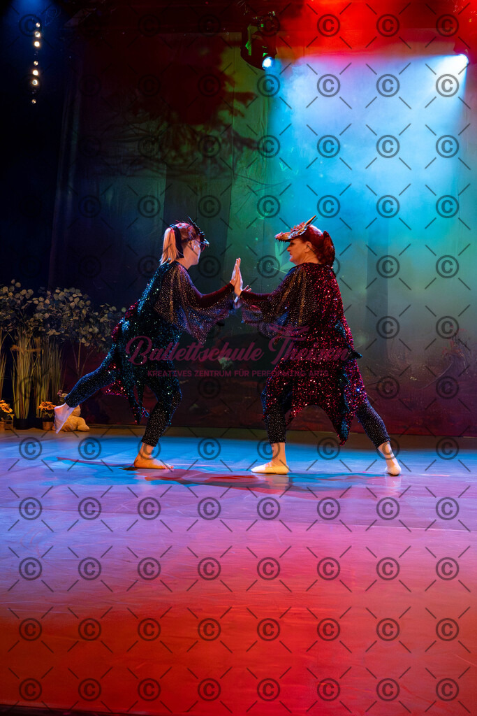 Ballettaufführung-232 | Bildershop Lem'n Entertainment - Realisiert mit Pictrs.com