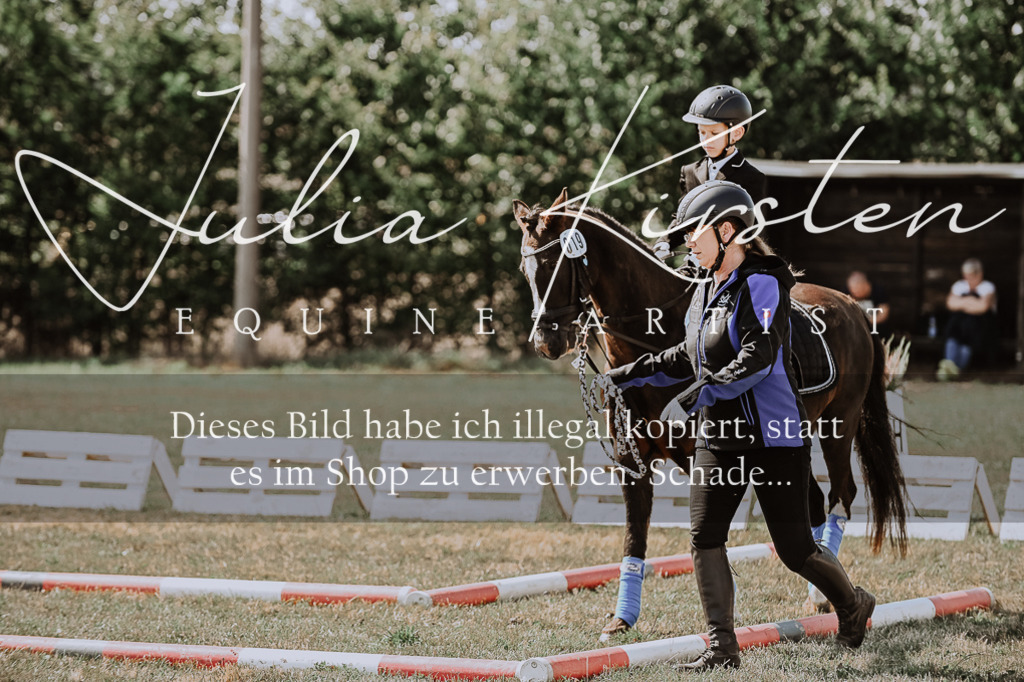 DSC_7984 | Pferde- und Turnierfotografie in Westsachsen. Pferdeportraits, Auftragszeichnungen und intuitive Kunst.