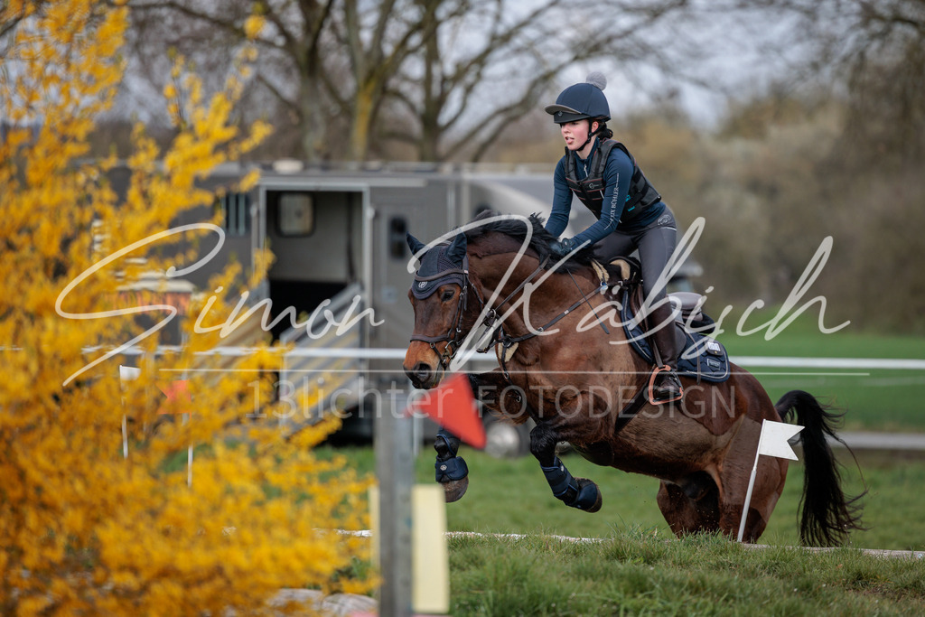 20260329-_3LI4377 | Tierfotografie Pferde, Hunde, Katzen, Haustiere.
Turnierfotografie Reitturniere, Reiten, Springreiten, Dressur in Hanau, dem Main-Kinzig-Kreis und dem Rhein-Main- Gebiet um Frankfurt