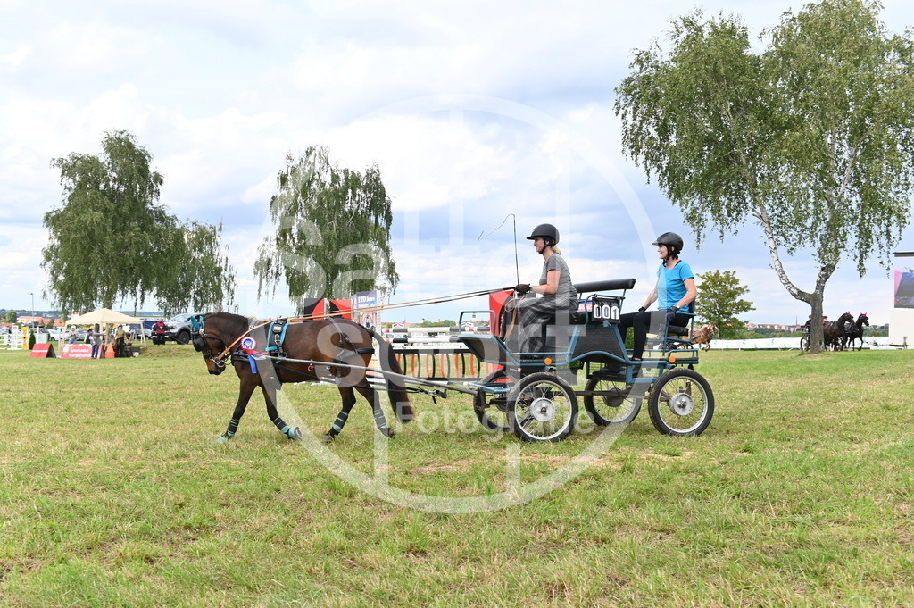 DSC_4669 | sattelsport - Realisiert mit Pictrs.com