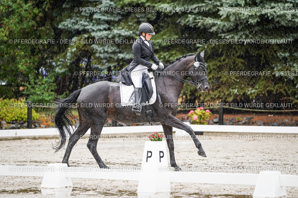 DSC08464 | Pferdegrafie