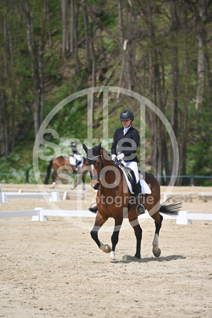 DSC_2011 | sattelsport - Realisiert mit Pictrs.com