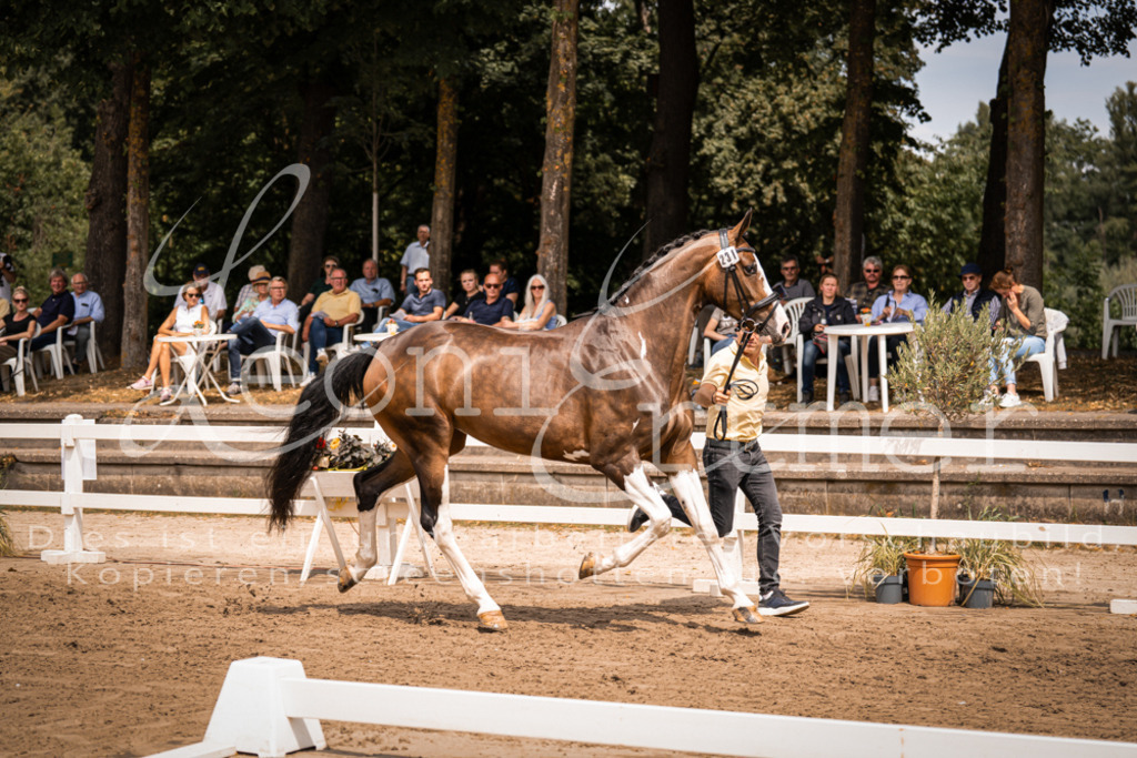 2. Fr00145 | Leoni Ertmer Photography - Realisiert mit Pictrs.com