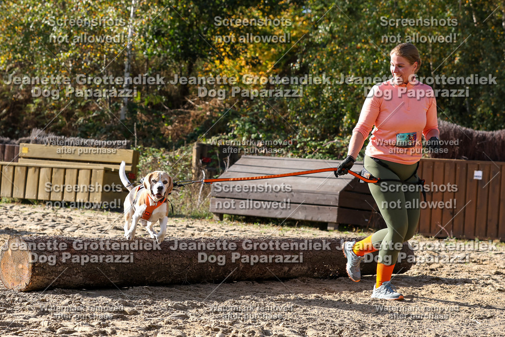 Dog Paparazzi - Strongdog 10-25-5965 | Dog Paparazzi Jeanette Grottendiek Fotografie & Videografie - Realisiert mit Pictrs.com