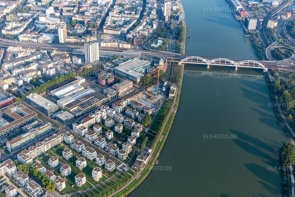 Luftbild: Wohnen am Fluß, Rheinschanzenpromenade im Ortsteil Süd in Ludwigshafen im Bundesland Rheinland-Pfalz in Deutschland. Foto: IMG_116925.jpg vom 25.08.2019 durch Werner Riehm/FLY-FOTO.de