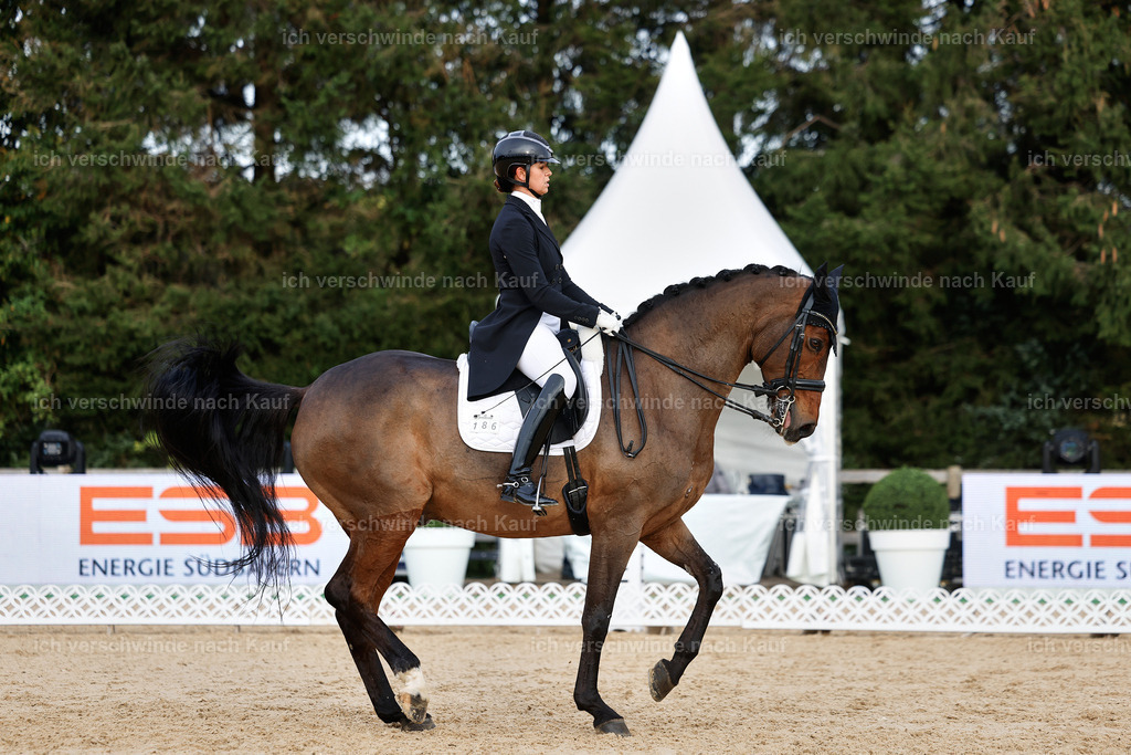 13-186-S___ -StoibPH-7028 | working equitationturnier fotograf videograf stoibphotography marixx film working equitation deutschland reitsport turnierfotografie eventfotografie equestrian events